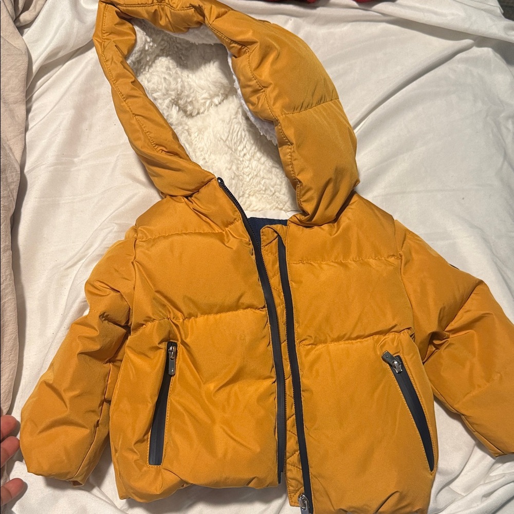 Kids JACADI PARIS Mustard Hooded Puffer Jacket